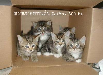 catbox_360_4.jpg