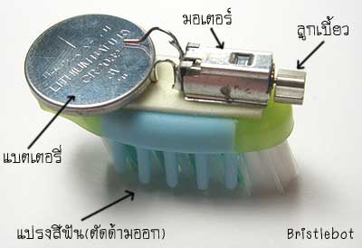 หุ่นยนต์แปรงสีฟันจอมซ่า – Dailygizmo